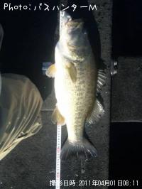 �֥�å��Х�