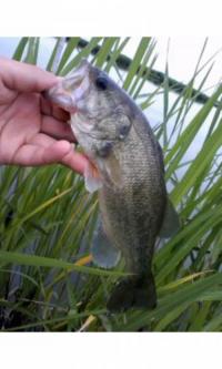 �֥�å��Х�