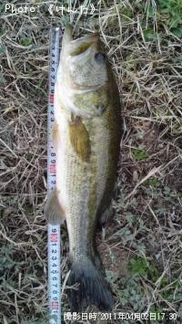 �֥�å��Х�