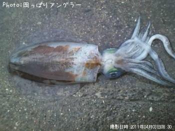 �����ꥤ��