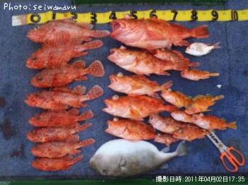 ���˥�����