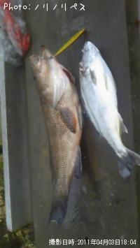 �����ϥ�