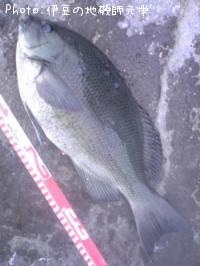 �����᥸��