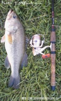 ¥Ö¥é¥Ã¥¯¥Ð¥¹