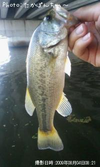 �֥�å��Х�