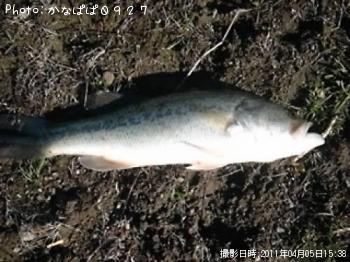 �֥�å��Х�