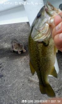 �֥�å��Х�