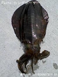 �����ꥤ��