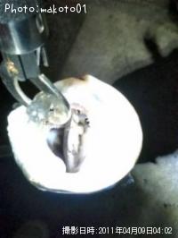 �����Х�