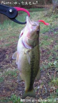 �֥�å��Х�