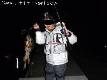 ¥¢¥ª¥ê¥¤¥«