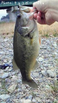 �֥�å��Х�