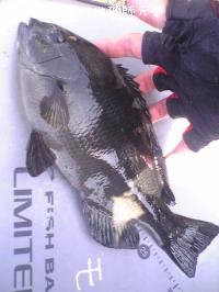 �����᥸��