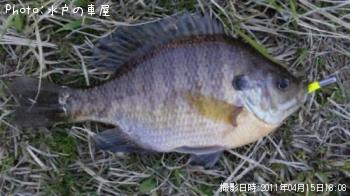 ø���Х�ʾС�