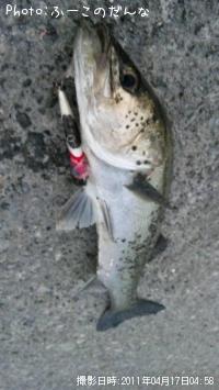 �����Х�