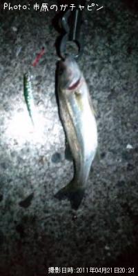 �����Х�