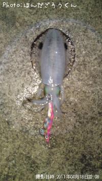 �����ꥤ��