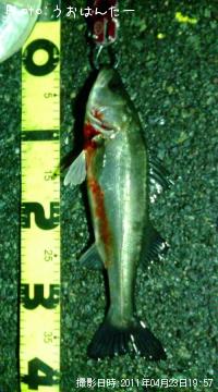 �����Х�