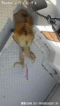 ¥¢¥ª¥ê¥¤¥«