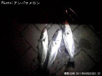 �����Х�