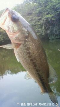 ¥Ö¥é¥Ã¥¯¥Ð¥¹