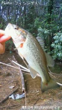 ¥Ö¥é¥Ã¥¯¥Ð¥¹