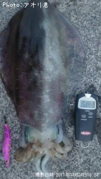 ¥¢¥ª¥ê¥¤¥«