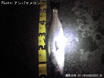 �����Х�