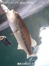 ¥Ö¥é¥Ã¥¯¥Ð¥¹