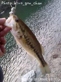 ¥Ö¥é¥Ã¥¯¥Ð¥¹