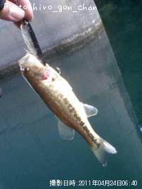 ¥Ö¥é¥Ã¥¯¥Ð¥¹