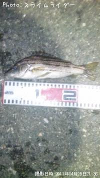 ���ޥ�����