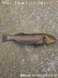 �����ʥ�