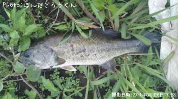 ¥Ö¥é¥Ã¥¯¥Ð¥¹