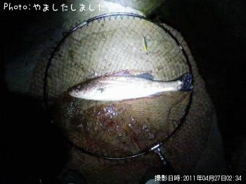 �����Х�