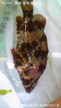 �������������