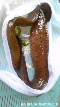 �������������