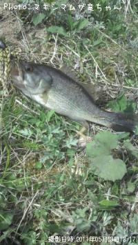 ¥Ö¥é¥Ã¥¯¥Ð¥¹