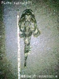 �ȥ�������