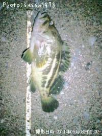 ���ޥ���