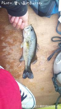 ¥Ö¥é¥Ã¥¯¥Ð¥¹