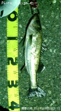 �����Х�