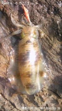 �����ꥤ��