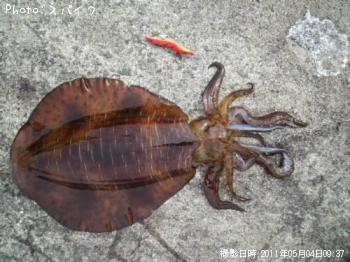 �����ꥤ��