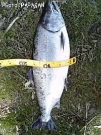 ������ޥ�