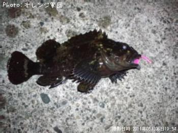 ��饽��
