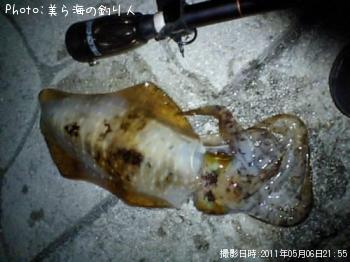 ¥¢¥ª¥ê¥¤¥«