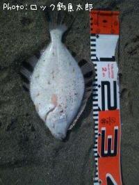 ¥«¥ï¥«¥ì¥¤