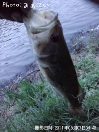 �֥�å��Х�