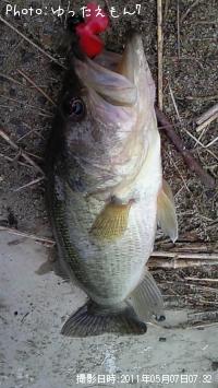 ¥Ö¥é¥Ã¥¯¥Ð¥¹